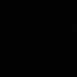 Meet your Posher, Gavin